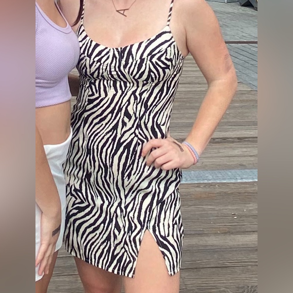 Isabelle’s Cabinet Zebra Print Mini Dress